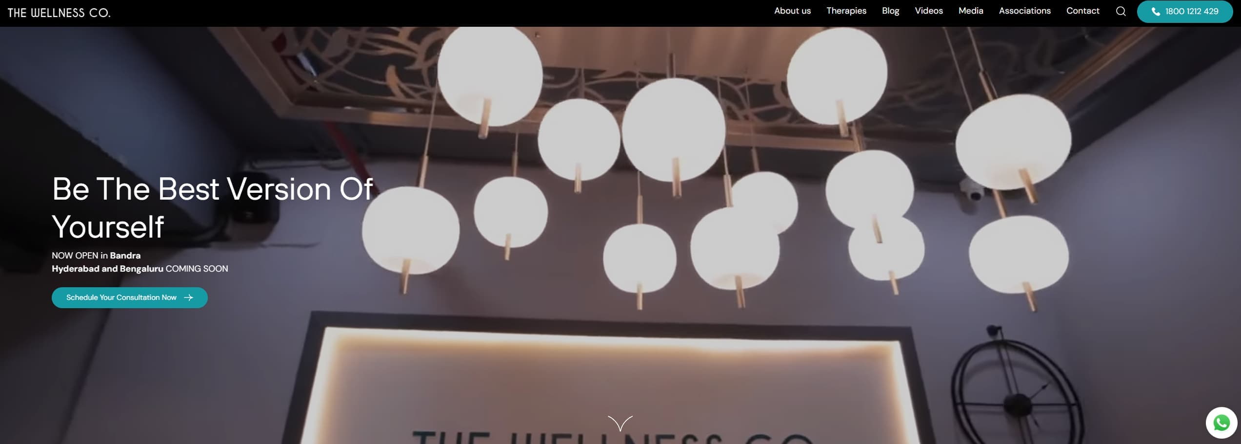 The Wellness Co.