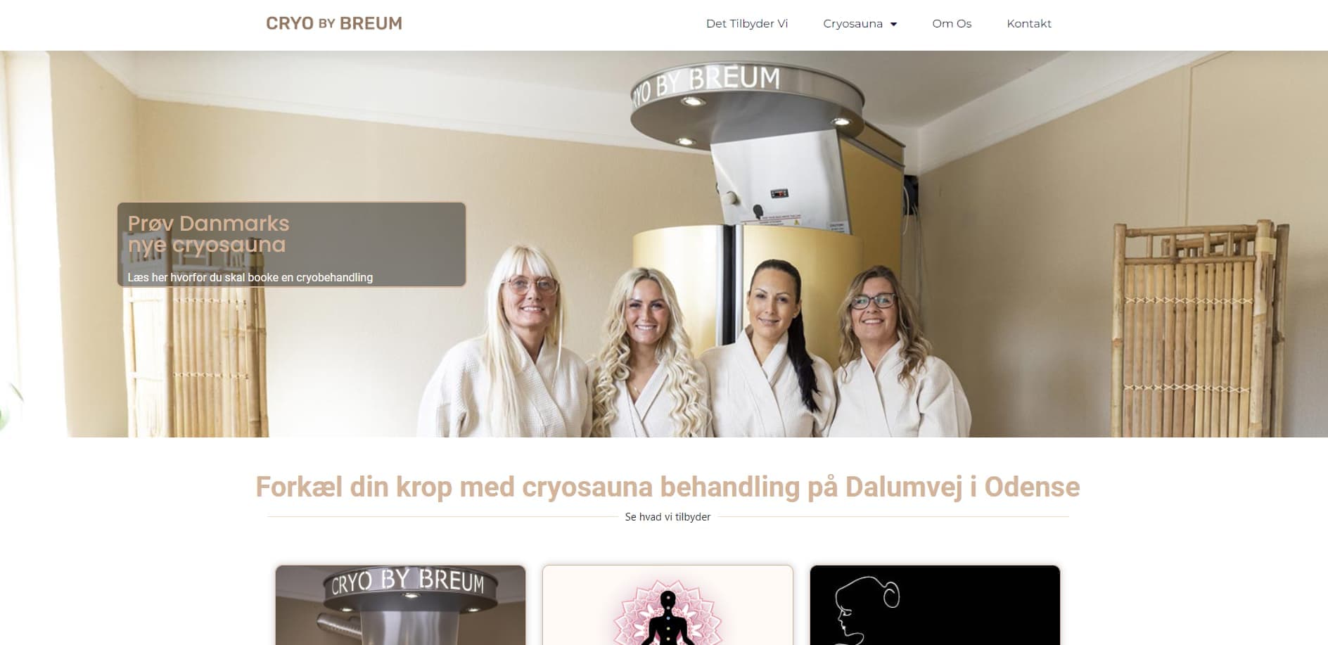 Cryo By Breum